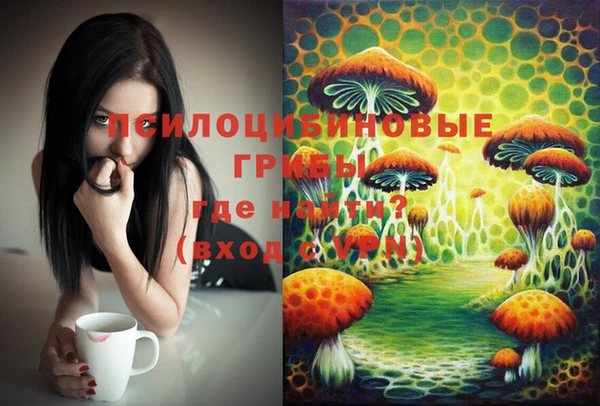 индика Вязники