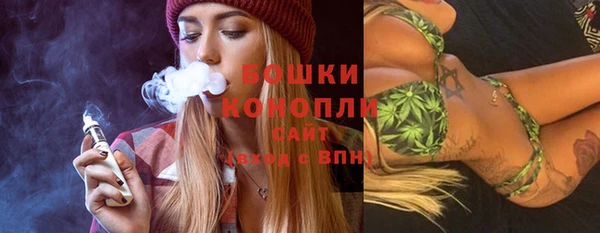 мдпв Вязьма