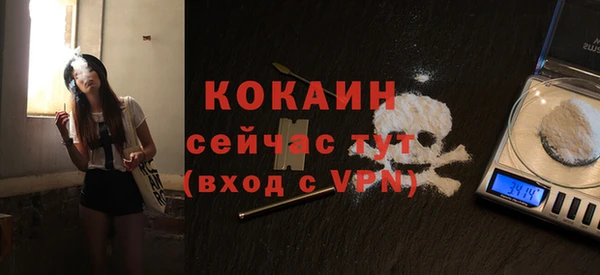 амф Вяземский