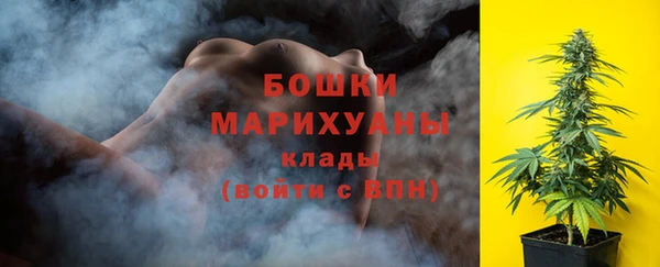 индика Вязники