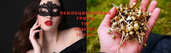 амф Вяземский