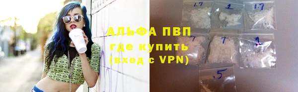 амф Вяземский