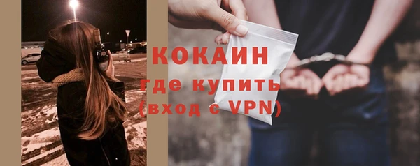 амф Вяземский