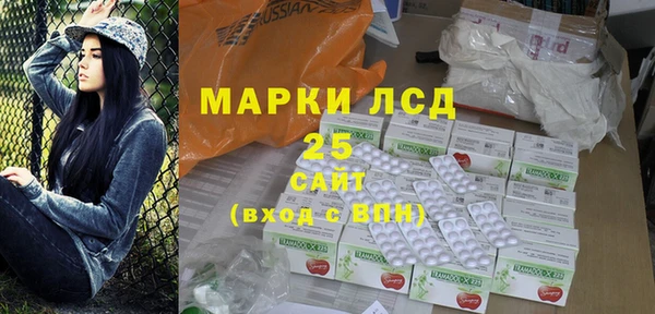 индика Вязники