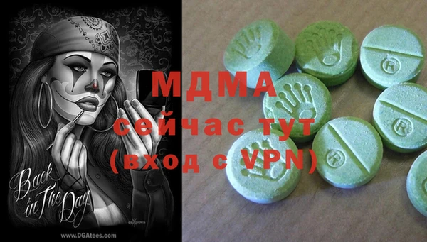 индика Вязники
