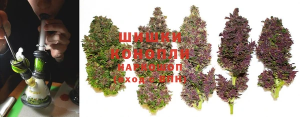 индика Вязники