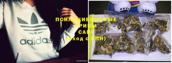 индика Вязники